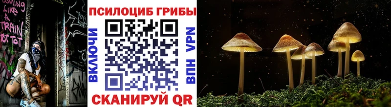 купить закладку  Феодосия  Псилоцибиновые грибы прущие грибы 